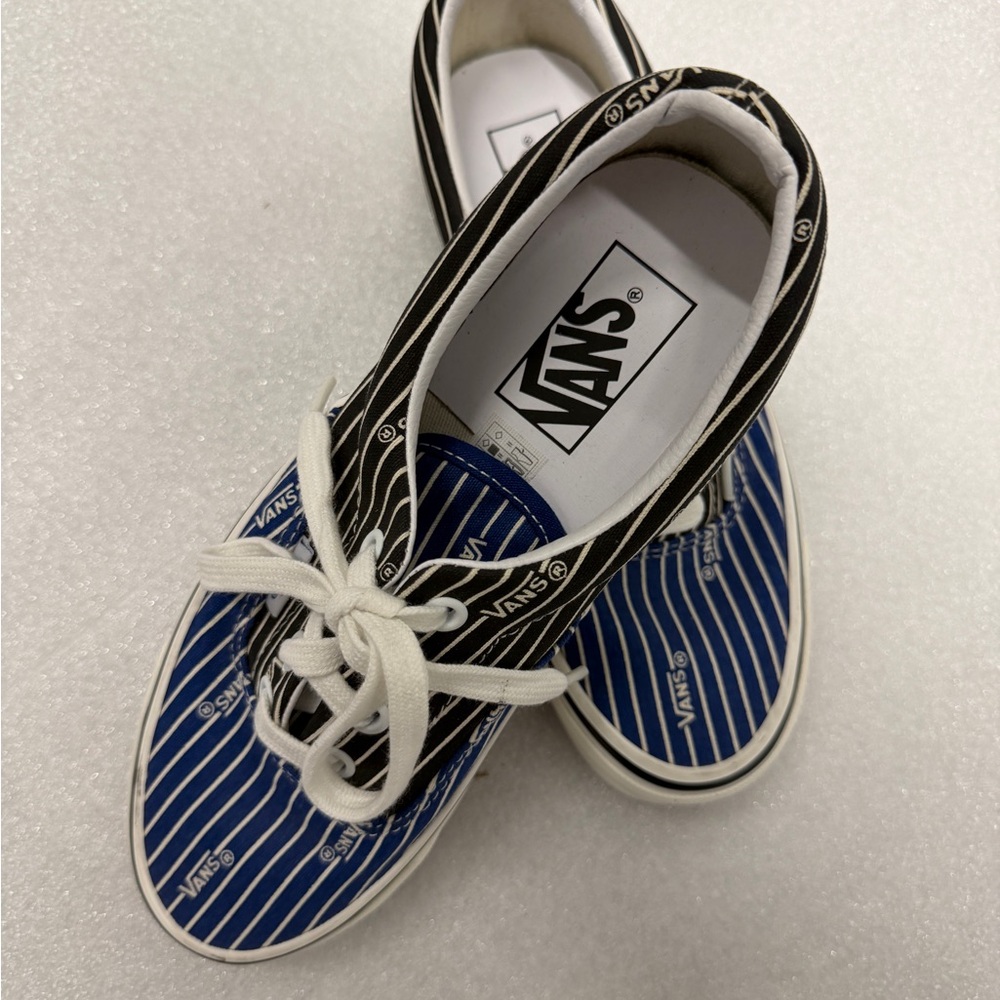 Vans Black and Blue Striped Shoes